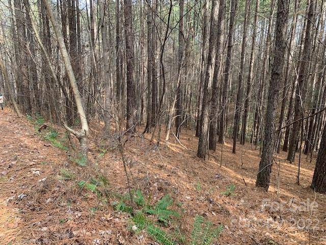 0 Chasewood DR #16, Rutherfordton, NC 28139