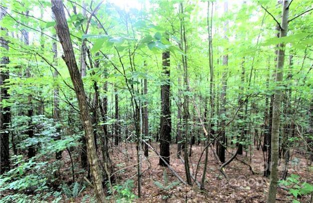 0 Chasewood DR #16, Rutherfordton, NC 28139