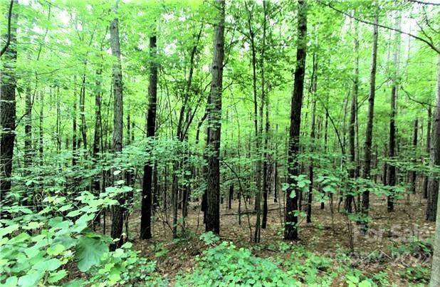 0 Chasewood DR #16, Rutherfordton, NC 28139