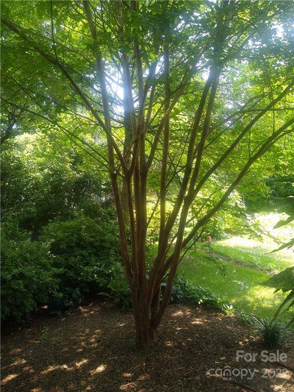 3397 Camp Julia RD, Kannapolis, NC 28083
