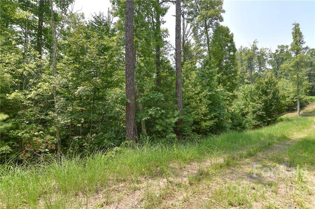Lot 2 The Vines BLVD #Lot 2, Marshall, NC 28753