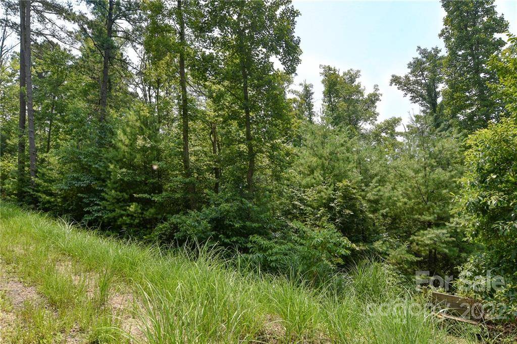 Lot 2 The Vines BLVD #Lot 2, Marshall, NC 28753