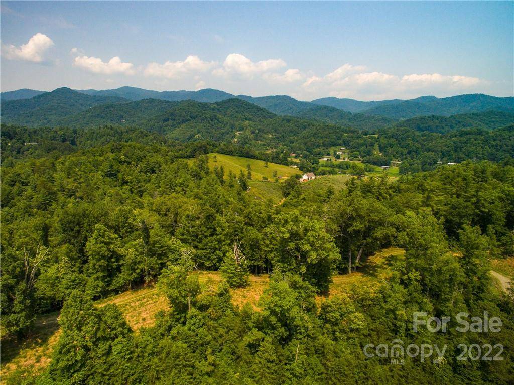 Lot 2 The Vines BLVD #Lot 2, Marshall, NC 28753