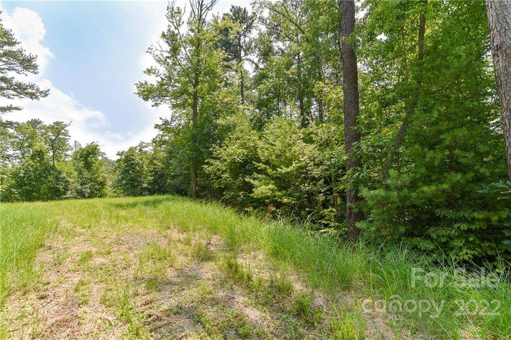 Lot 4 The Vines BLVD #Lot 4, Marshall, NC 28753
