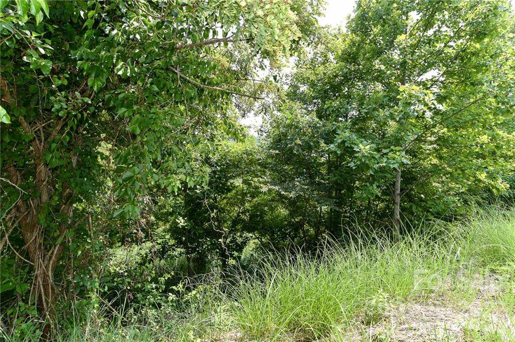 Lot 9 The Vines BLVD #Lot 9, Marshall, NC 28753