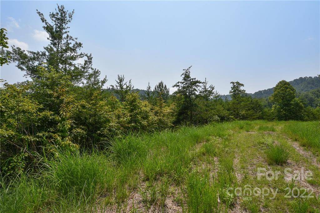 113 Chardonnay AVE #10, Marshall, NC 28753