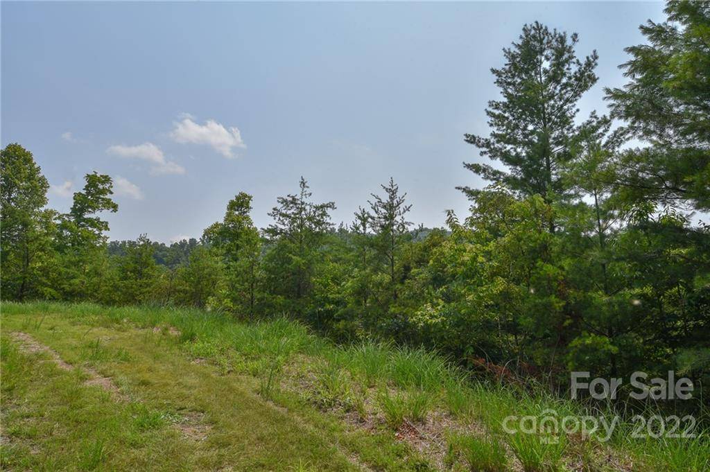 Lot 11 The Vines BLVD #Lot 11, Marshall, NC 28753