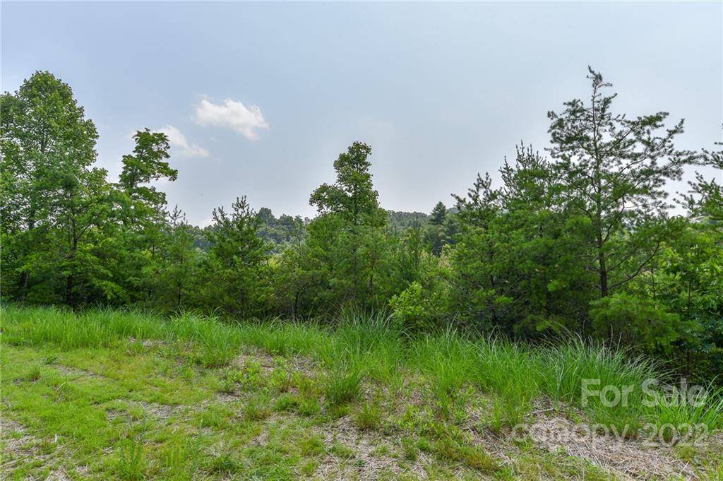 Lot 11 The Vines BLVD #Lot 11, Marshall, NC 28753