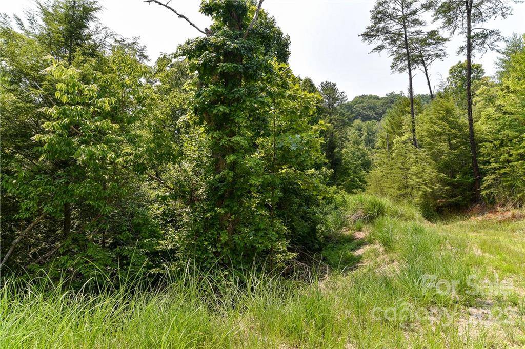 Lot 12 The Vines BLVD #Lot 12, Marshall, NC 28753