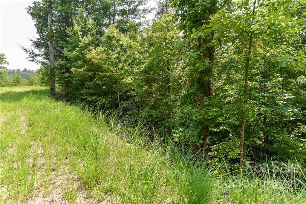 Lot 12 The Vines BLVD #Lot 12, Marshall, NC 28753