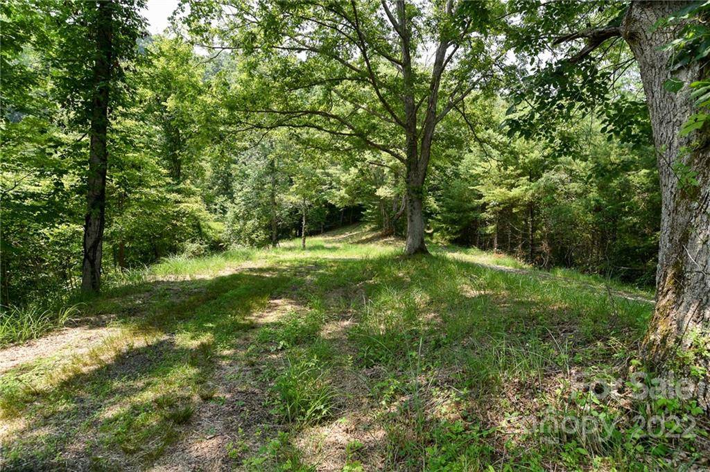 Lot 13 The Vines BLVD #Lot 13, Marshall, NC 28753