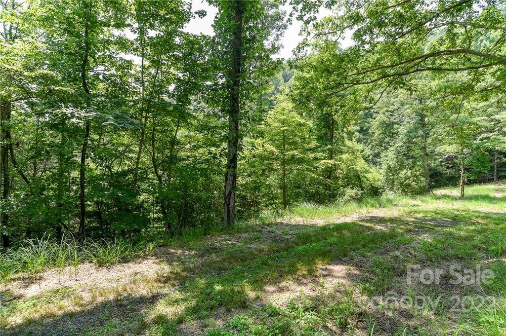 Lot 13 The Vines BLVD #Lot 13, Marshall, NC 28753