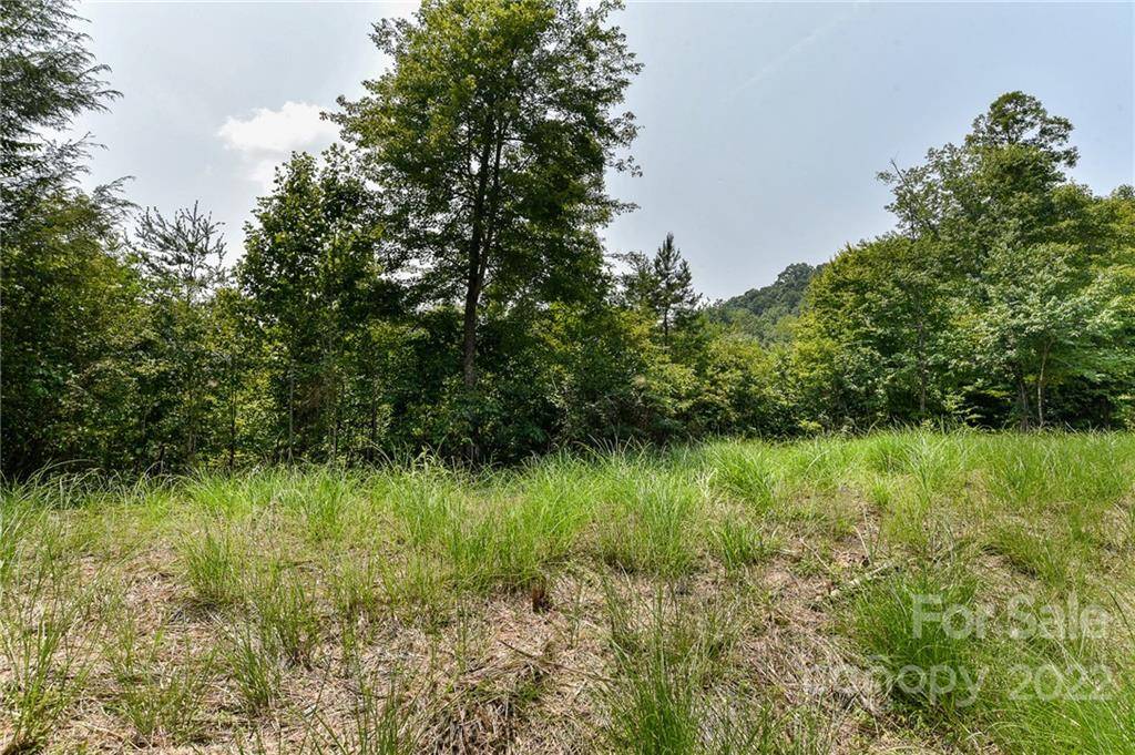 441 The Vines BLVD #15, Marshall, NC 28753