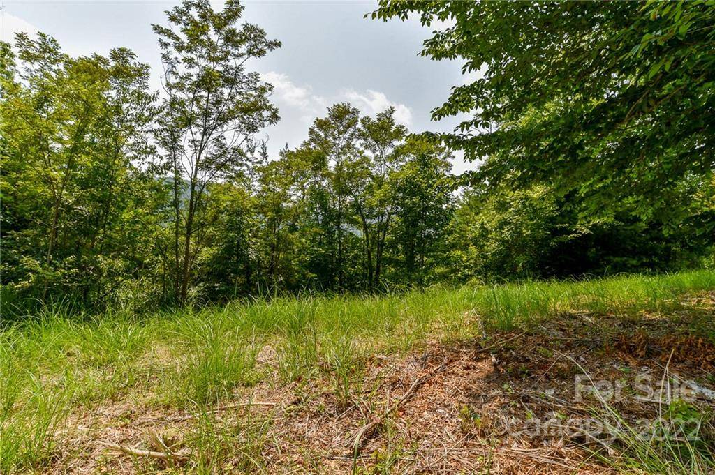 319 The Vines BLVD #21, Marshall, NC 28753