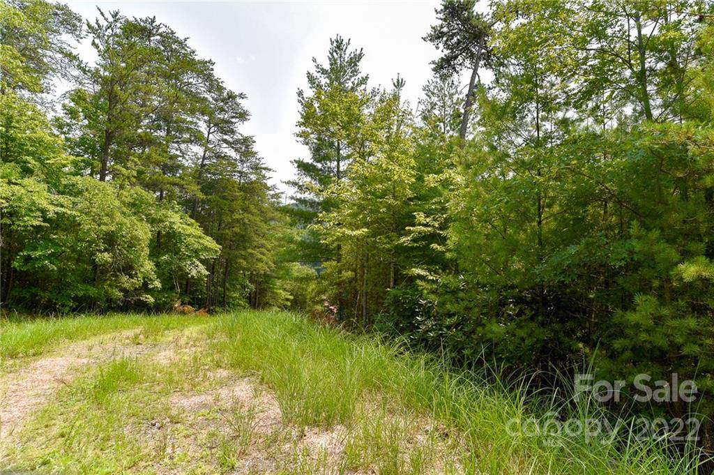 Lot 22 The Vines BLVD #Lot 22, Marshall, NC 28753