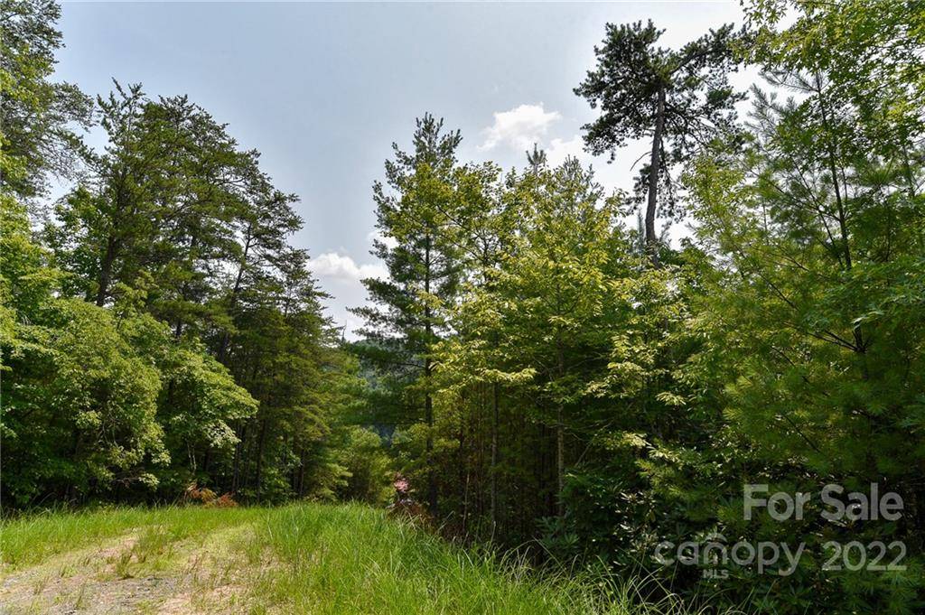 Lot 22 The Vines BLVD #Lot 22, Marshall, NC 28753