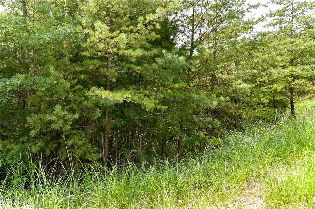 Lot 22 The Vines BLVD #Lot 22, Marshall, NC 28753