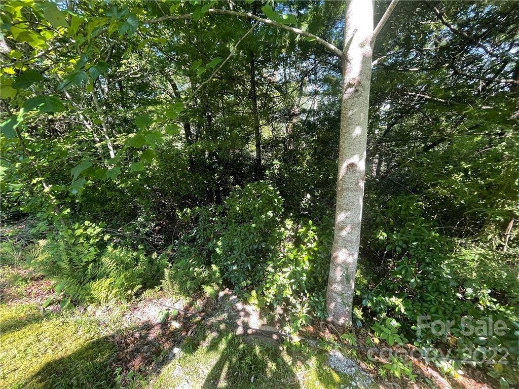 99999 Pine Mountain TRL #M37, Brevard, NC 28712