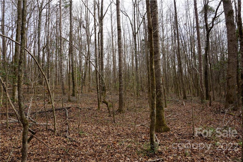 9 AC Burree RD, Clover, SC 29710