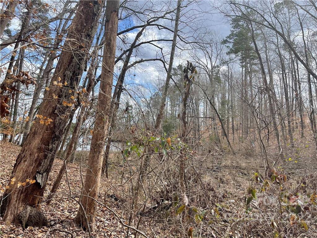 Lot 91 TIDEWATER CT #91, Norwood, NC 28128