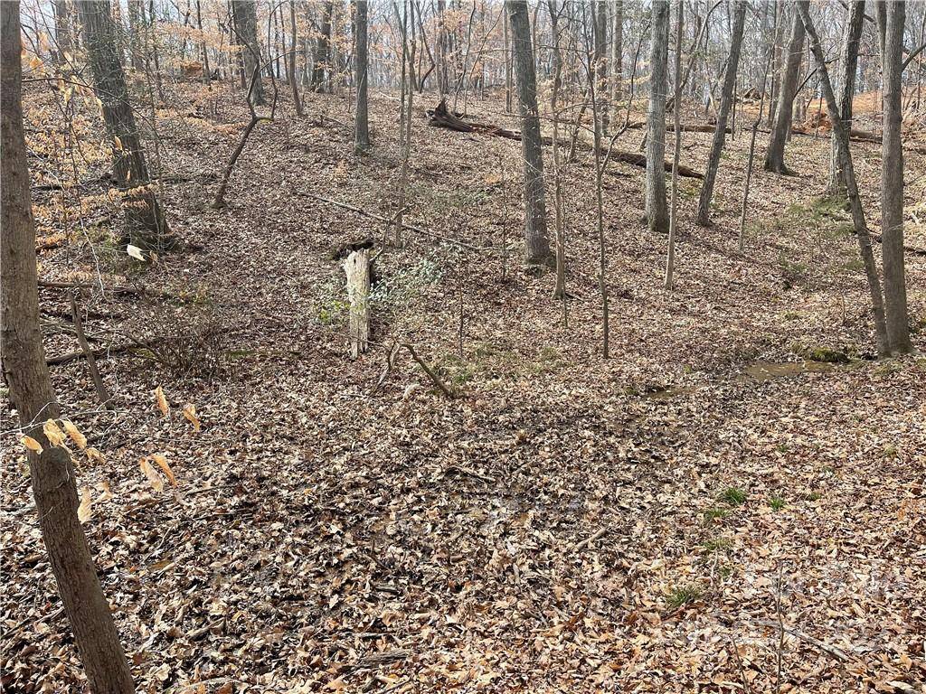 Lot 91 TIDEWATER CT #91, Norwood, NC 28128
