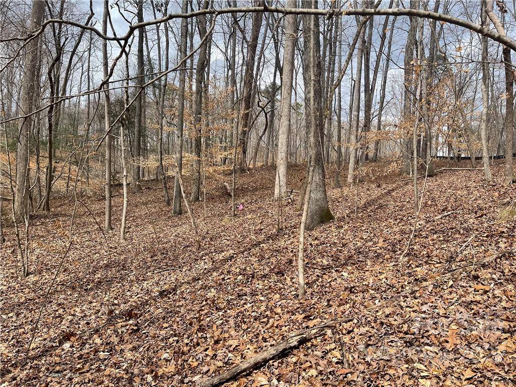 Lot 91 TIDEWATER CT #91, Norwood, NC 28128