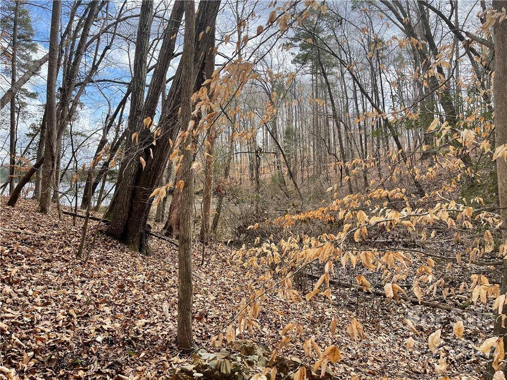 Lot 91 TIDEWATER CT #91, Norwood, NC 28128
