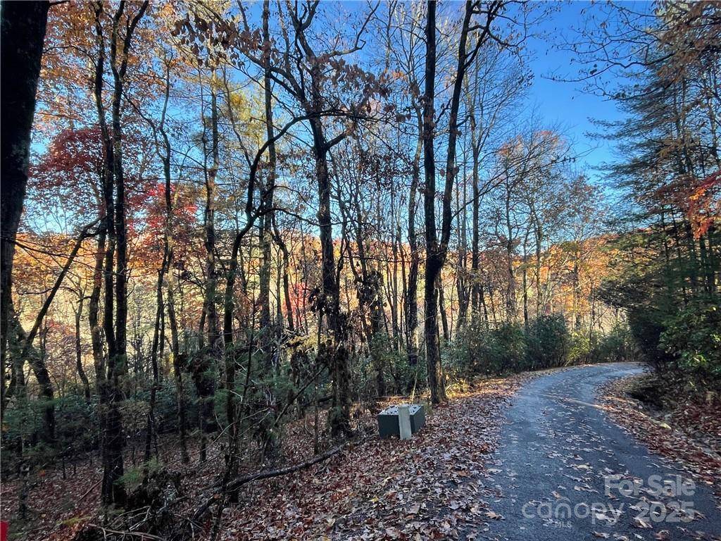 9999 Sassafras RD #4, Cedar Mountain, NC 28718