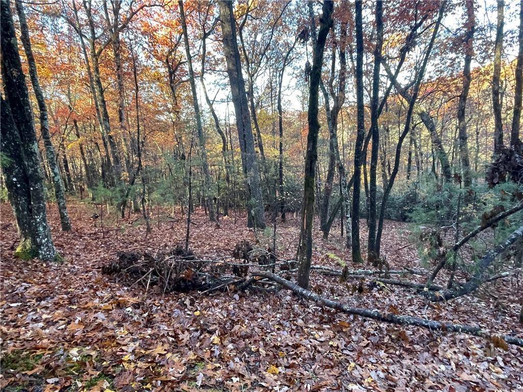 9999 Sassafras RD #4, Cedar Mountain, NC 28718