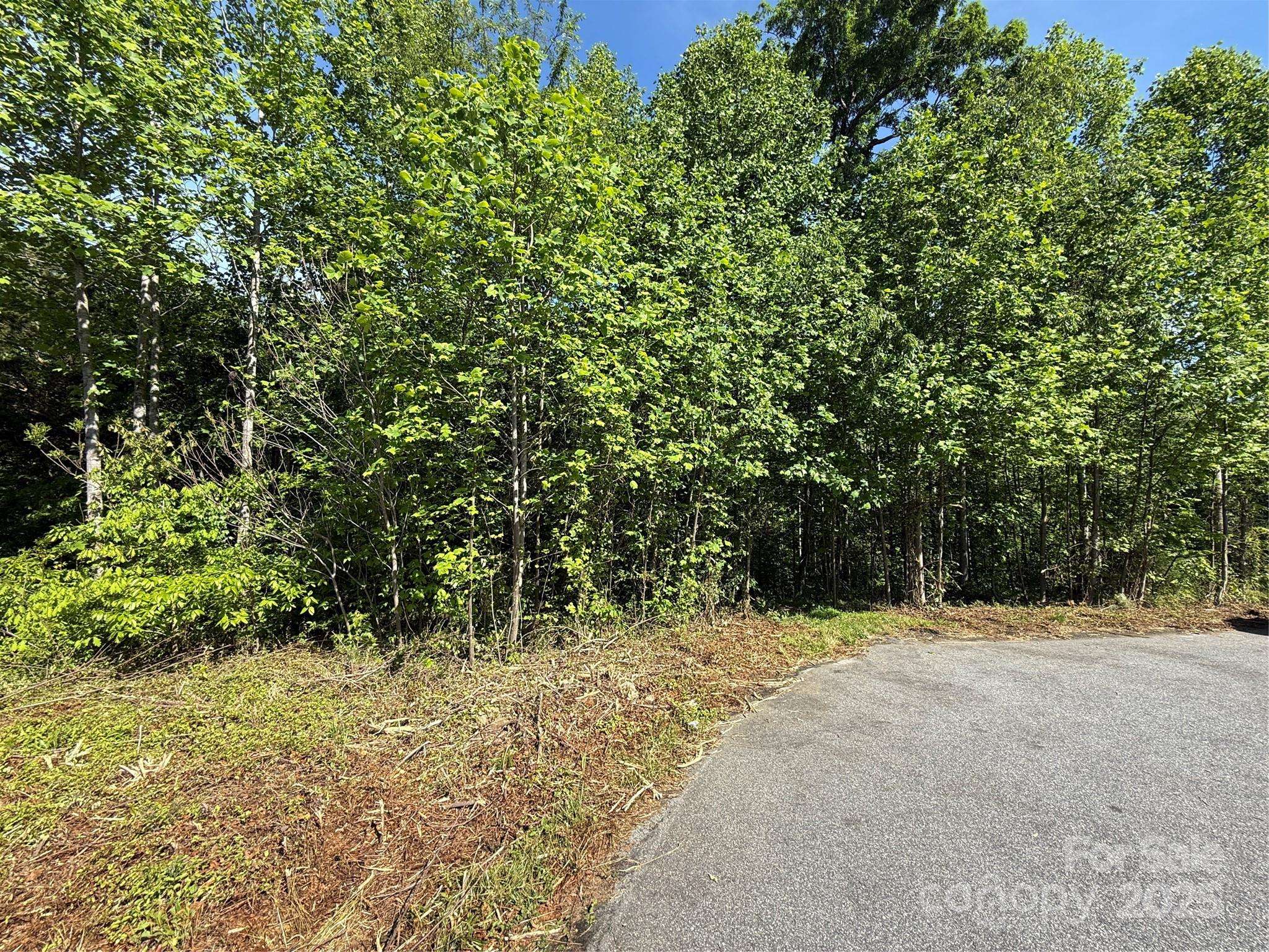 Lot 263 RILEY DR #263, Taylorsville, NC 28681