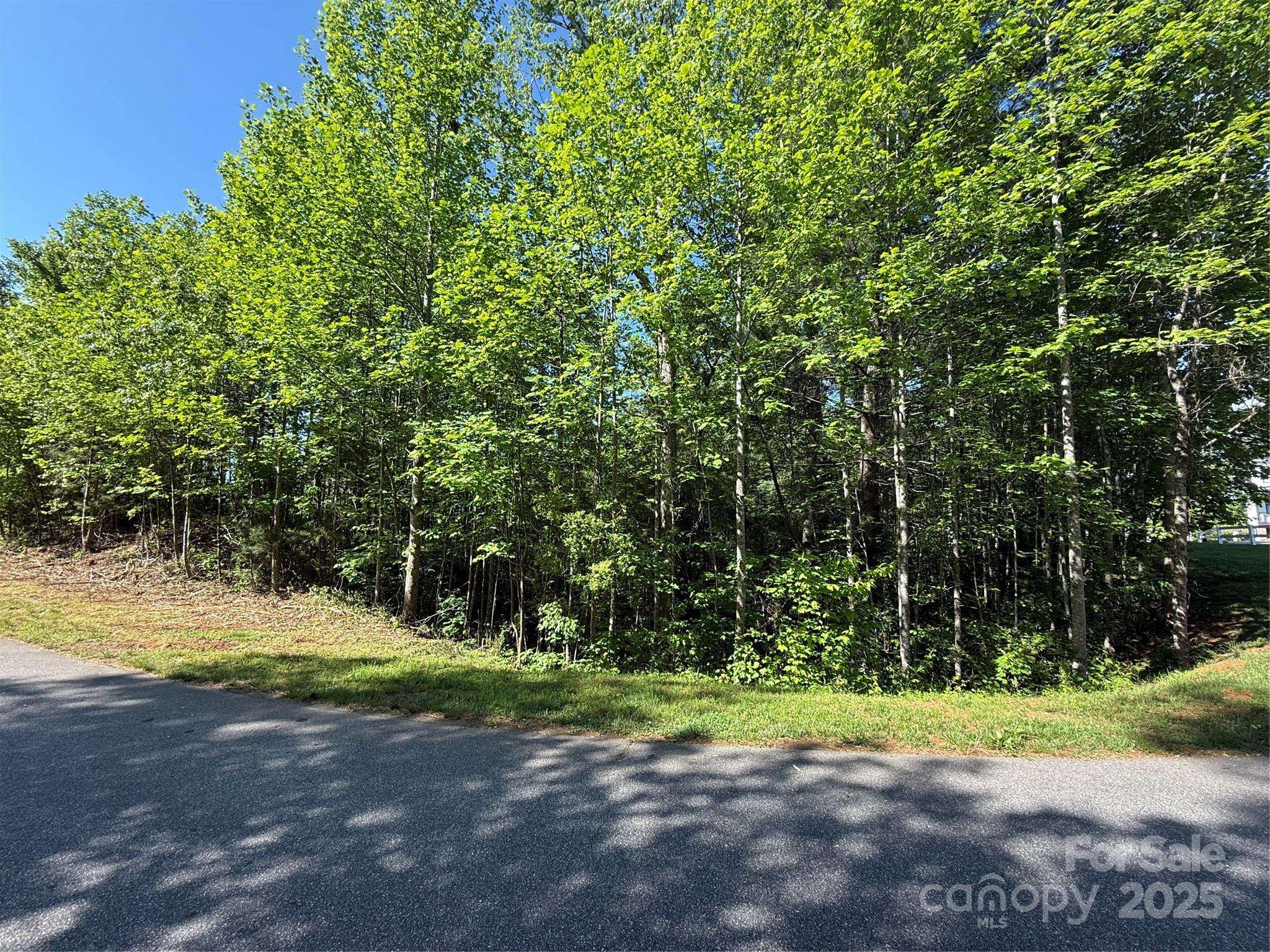 Lot 280 WHITMAN CT #280, Taylorsville, NC 28681
