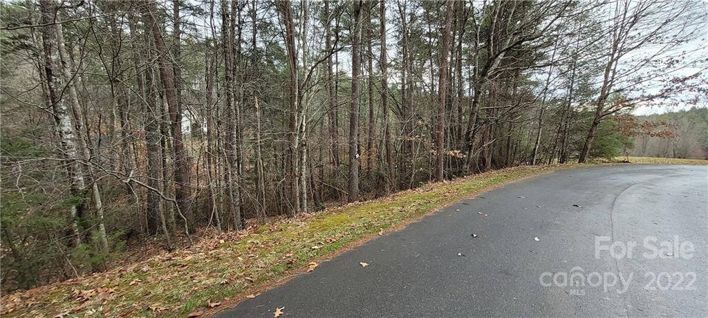 35 Settlers TRL #35, Mars Hill, NC 28754
