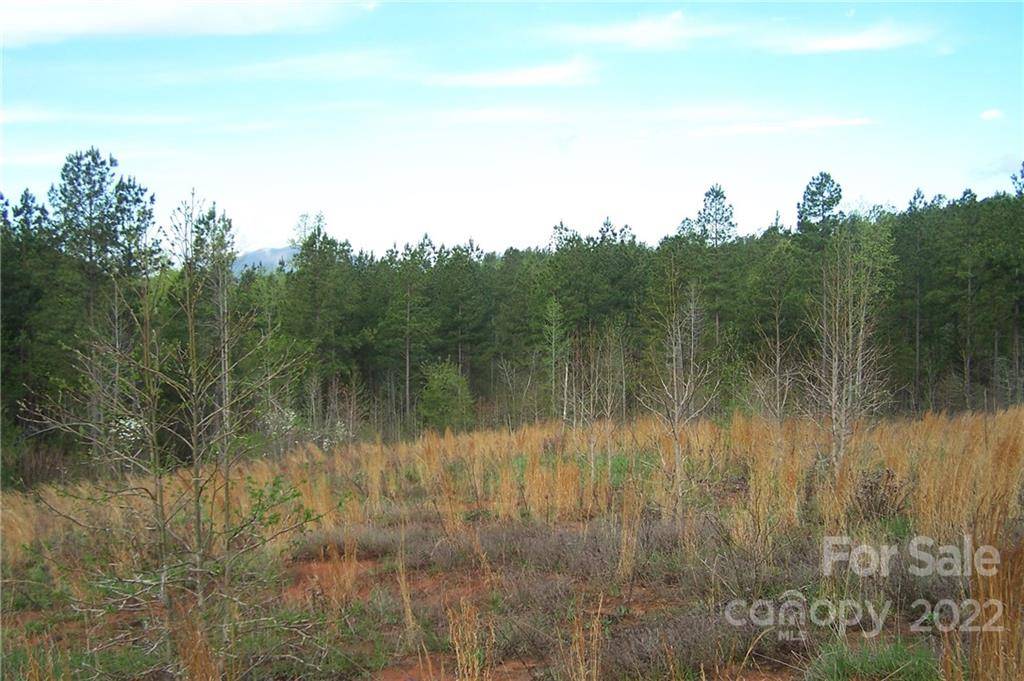 Tract 3 County Line RD, Mill Spring, NC 28756
