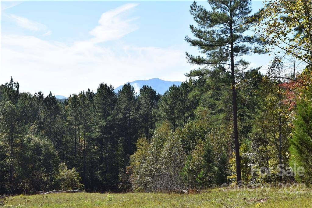 Tract 3 County Line RD, Mill Spring, NC 28756