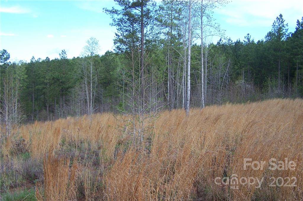Tract 3 County Line RD, Mill Spring, NC 28756