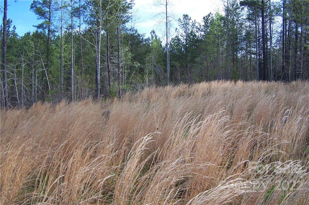 Tract 3 County Line RD, Mill Spring, NC 28756