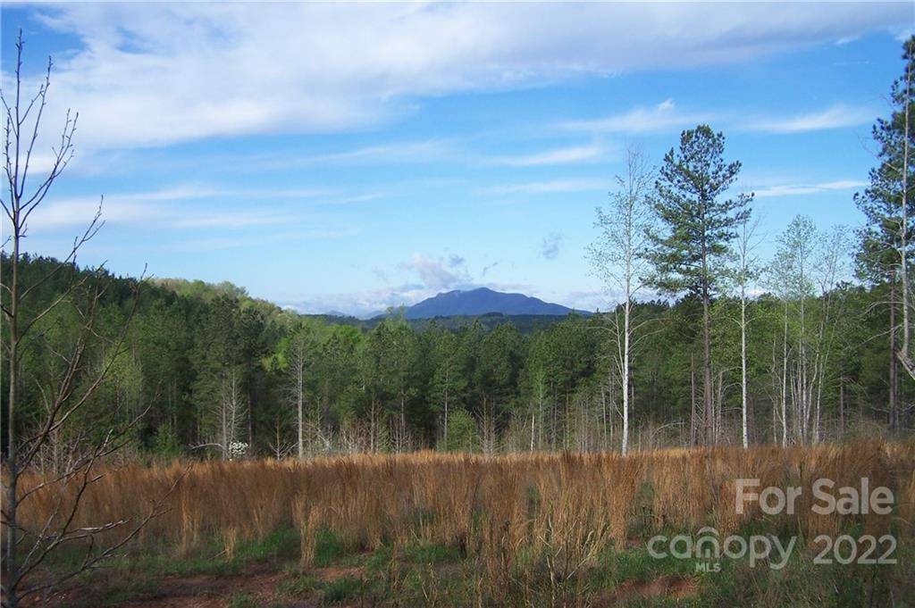 Tract 3 County Line RD, Mill Spring, NC 28756