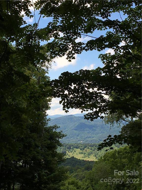 TBD McGuires RDG #321-322, Waynesville, NC 28786
