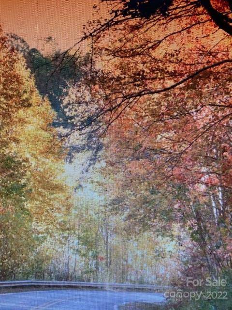 00 Trillium LN, Mars Hill, NC 28754