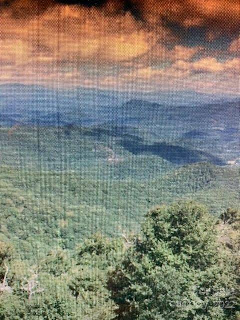 00 Trillium LN, Mars Hill, NC 28754
