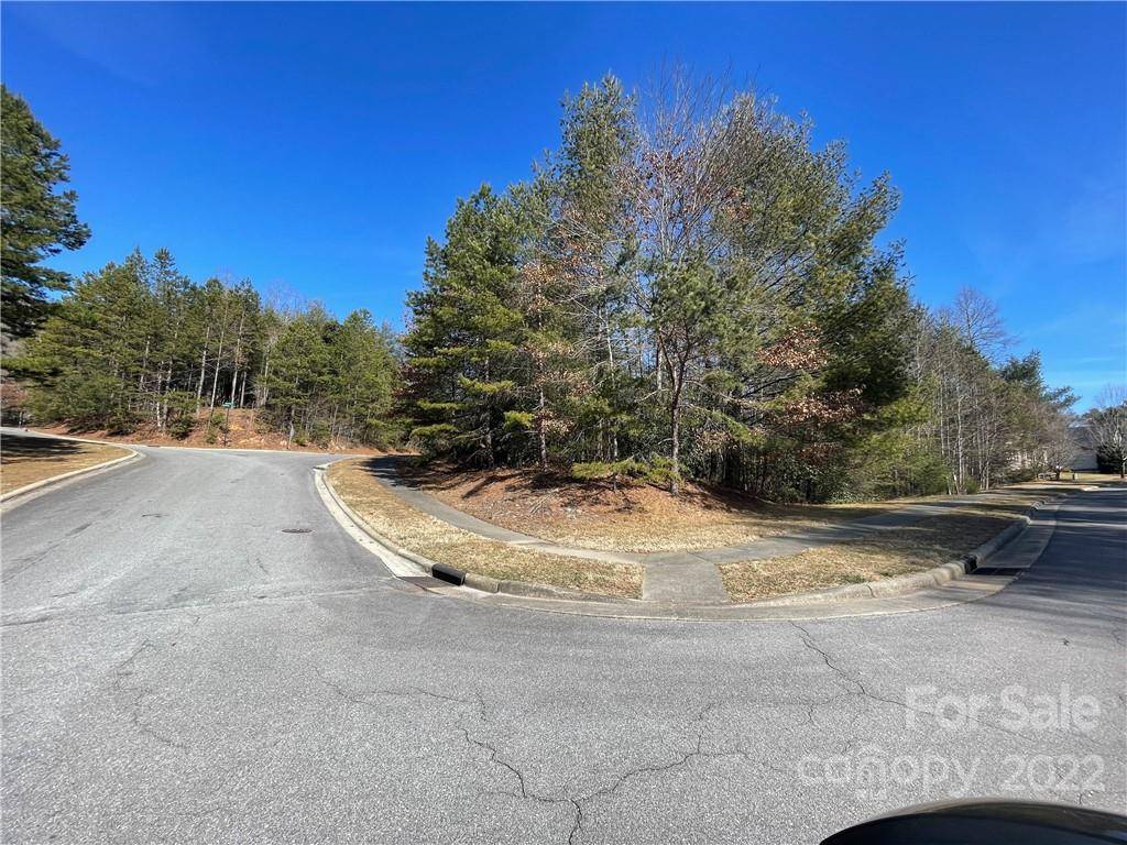 V30 Blueberry Hill RD, Brevard, NC 28712