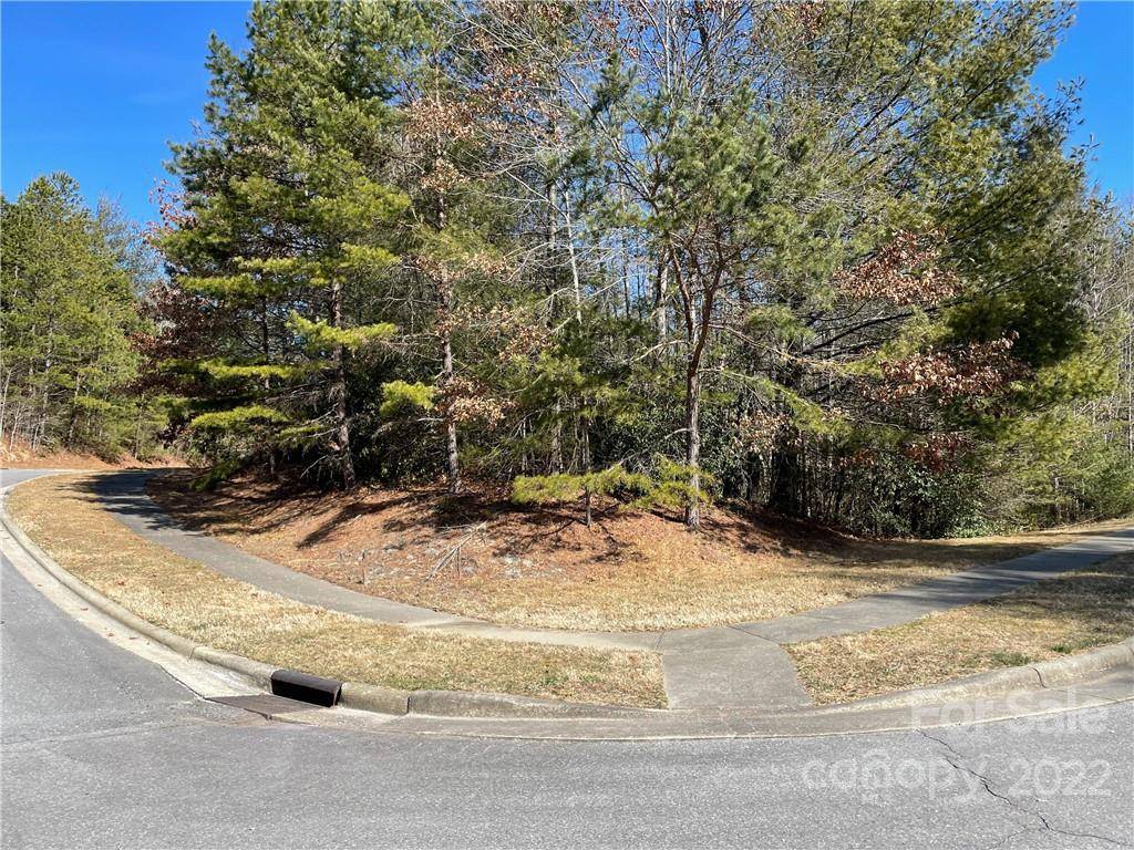 V30 Blueberry Hill RD, Brevard, NC 28712