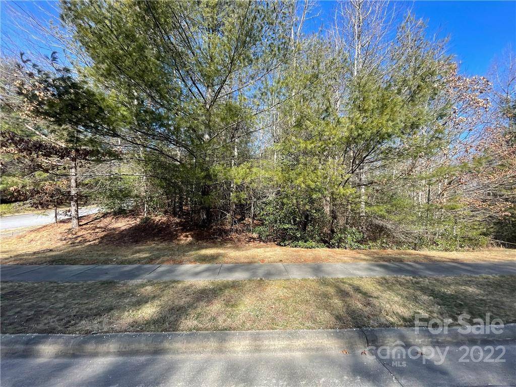 V30 Blueberry Hill RD, Brevard, NC 28712