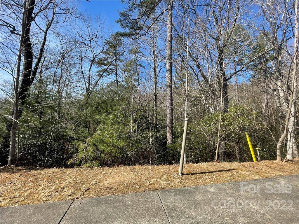 SH11 Springhouse TRL, Brevard, NC 28712
