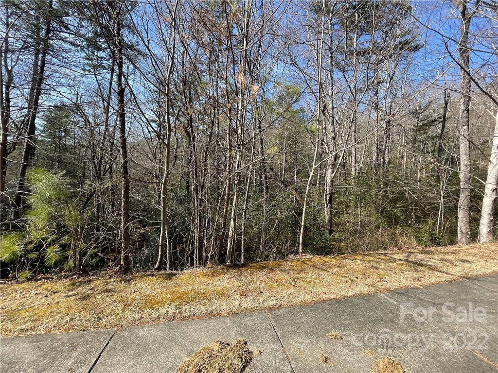 SH11 Springhouse TRL, Brevard, NC 28712