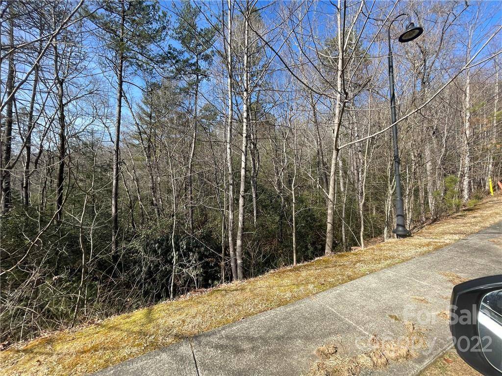 SH11 Springhouse TRL, Brevard, NC 28712