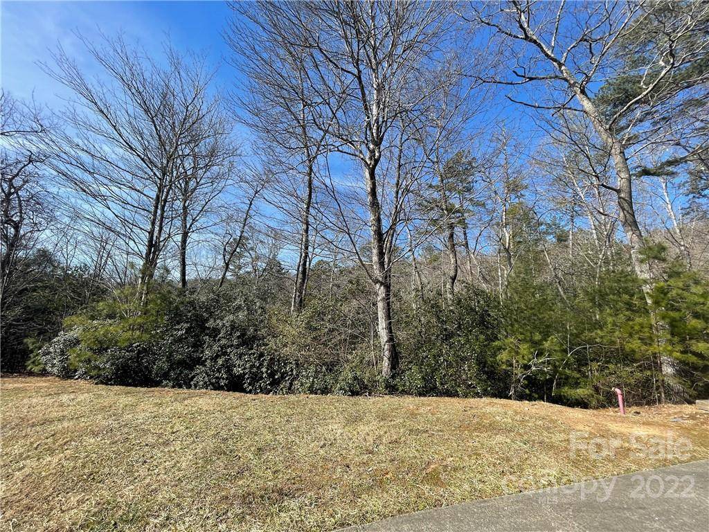 SH11 Springhouse TRL, Brevard, NC 28712