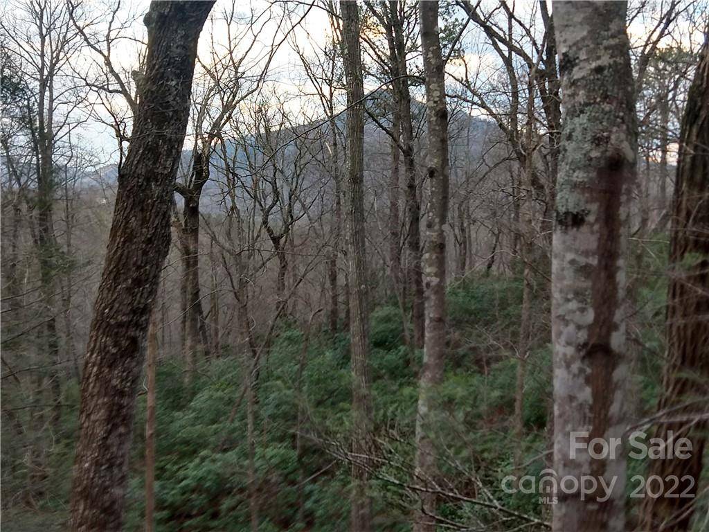 Lots 94 & 95 Rock Spring RD, Lake Lure, NC 28746