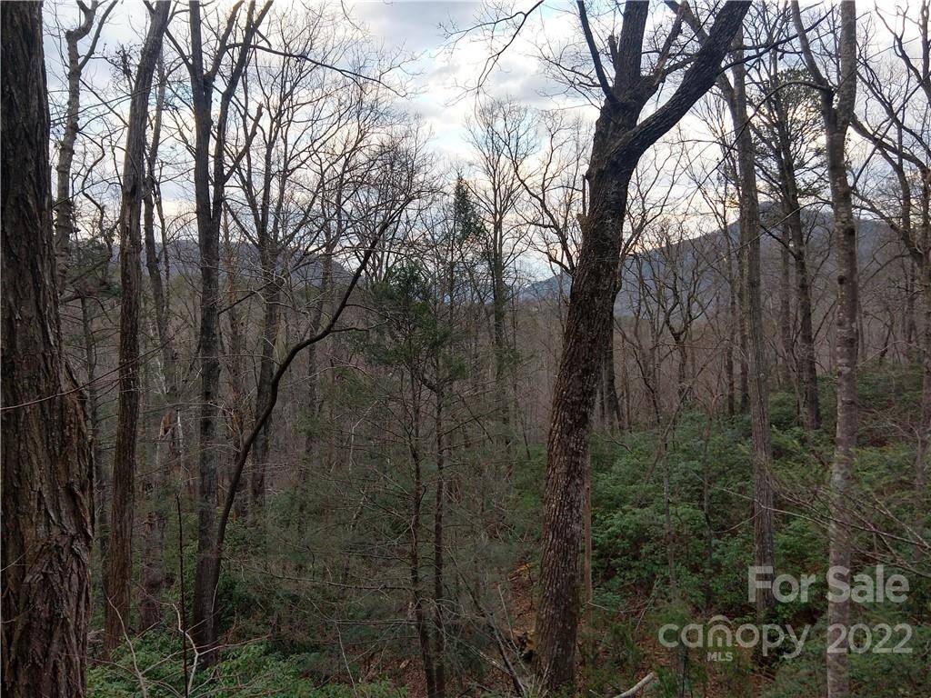 Lots 94 & 95 Rock Spring RD, Lake Lure, NC 28746