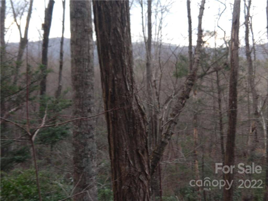 Lots 94 & 95 Rock Spring RD, Lake Lure, NC 28746